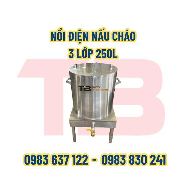 NỒI ĐIỆN NẤU CHÁO 3 LỚP 250L